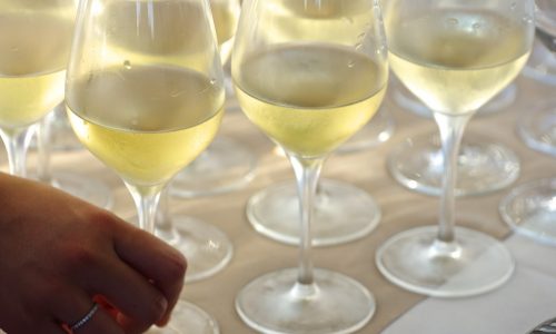Vatel Bordeaux - Aquitaine Organic Winegrowers competition